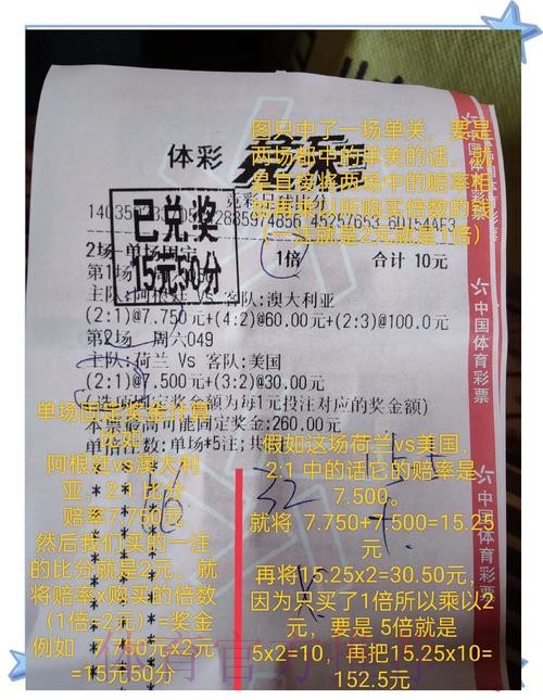 世界杯投注入口的风险与收益评估